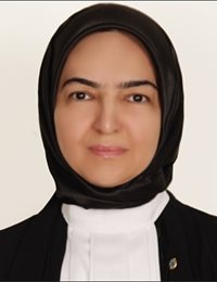 وکیل فاطمه مهدی برزی