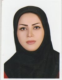 وکیل زیور  علی اکبرلو 