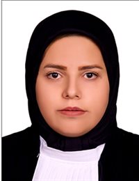 وکیل مریم حسین پور