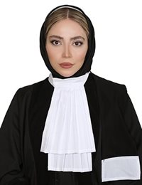وکیل نگین برزوئی