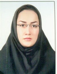 وکیل مهین  صلواتی