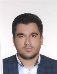 وکیل امیر  نوروزی 