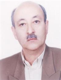 وکیل محمد ابراهیمی
