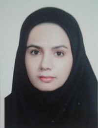 وکیل مهدیه سادات  دست یافته 