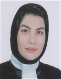 وکیل مینا نعمت الهی
