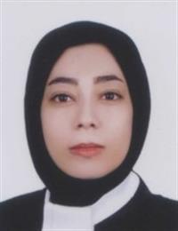 وکیل سمیه حسنی سیرچی
