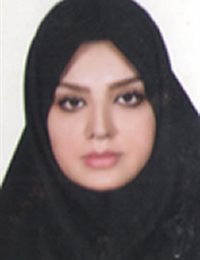 وکیل الهام  مالمیر 