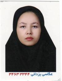 وکیل سیده الهه  سیدی 