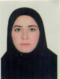 وکیل مینا عنبری نوجینی