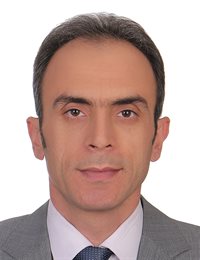 وکیل سید محمد مهدی گرجی نیا