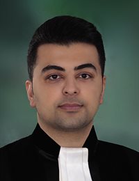 وکیل امین نیکروی