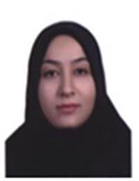 وکیل نفیسه لطفی اقبال
