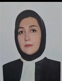 وکیل لیلا حسینی