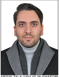 وکیل علی غفوری