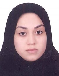 وکیل مائده وزیری