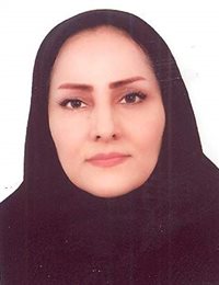 وکیل صدیقه حسین خانی میان آباد