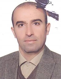 وکیل امیر ملکی