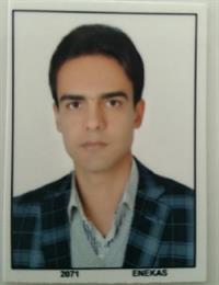 وکیل منصور ربیعی