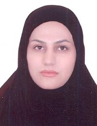 وکیل نوشین  بزرگی زاده