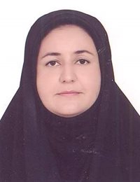 وکیل حمیده نصرتی قلعه بین