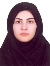 وکیل مینا سیفی