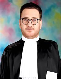 وکیل حامد قره بیگی 
