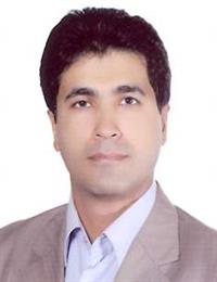 وکیل سید حسن علیا نسب