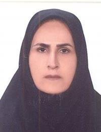 وکیل گلنار  خاتونی سلخوری