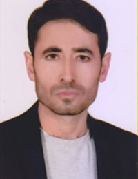 وکیل میرسعید موسوی