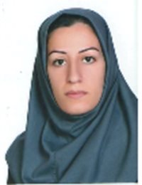 وکیل مریم  شامحمدی 
