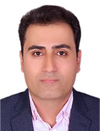 وکیل مجتبی  صیفی 