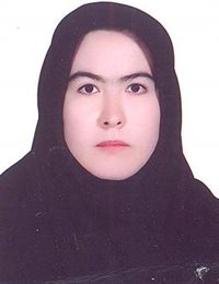 وکیل نسرین عزیزی آقا باقر