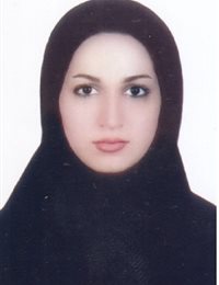 وکیل حاتمه  سعیدی شاندشتی 