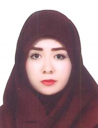 وکیل ستایش  بدخش