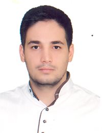 وکیل حمید  علیپور 