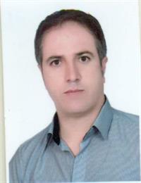 وکیل امیر نصیری