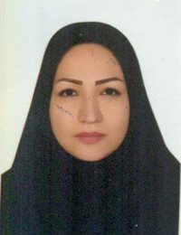 وکیل سمیه فتحی