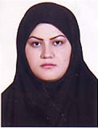 وکیل تهمینه  سه چوبی 