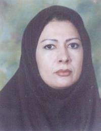 وکیل شیرین ملکی