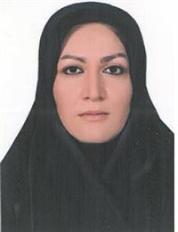 وکیل رقیه عسگری