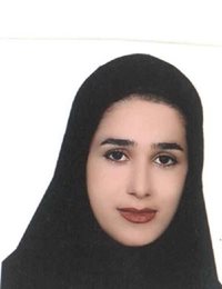 وکیل نگار  محمدی ایرلو 