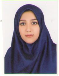 وکیل تکتم  صادق نیای رودسری 
