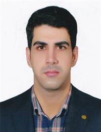 وکیل سیدمحمد نبی زاده