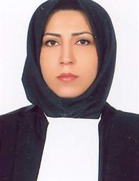 وکیل هنگامه حسین پور