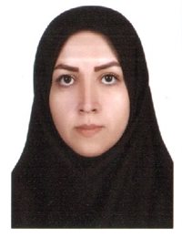 وکیل آرزو  امیرلو