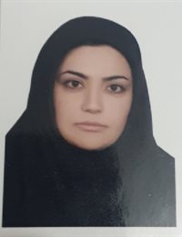 وکیل زینب سادات  دشتی 
