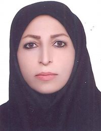 وکیل شهین محمدی
