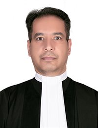 وکیل رضا مجد