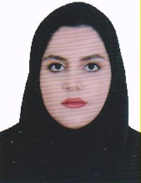 وکیل ندا  نظری مفرد 