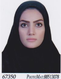 وکیل ساناز  میورزاده 
